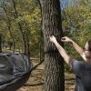 Nylon Mosquito Hammock with Attached Bug Net, 1 Person Dark Gray and Black, Open Size 115" L x 59" W