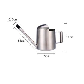 Stainless Steel Long Nozzle Watering Kettle Small (Option: Large Cylinder 500 Ml)